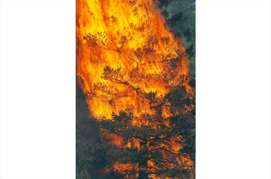 ΗΠΑ: Συγκλονίζεται από πυρκαγιές το Κολοράντο (ανανέωση) #12. REUTERS/RICK WILKING
