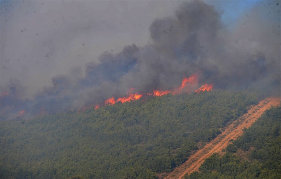 Πυρκαγιά στην ανατολική Αττική #8. 
