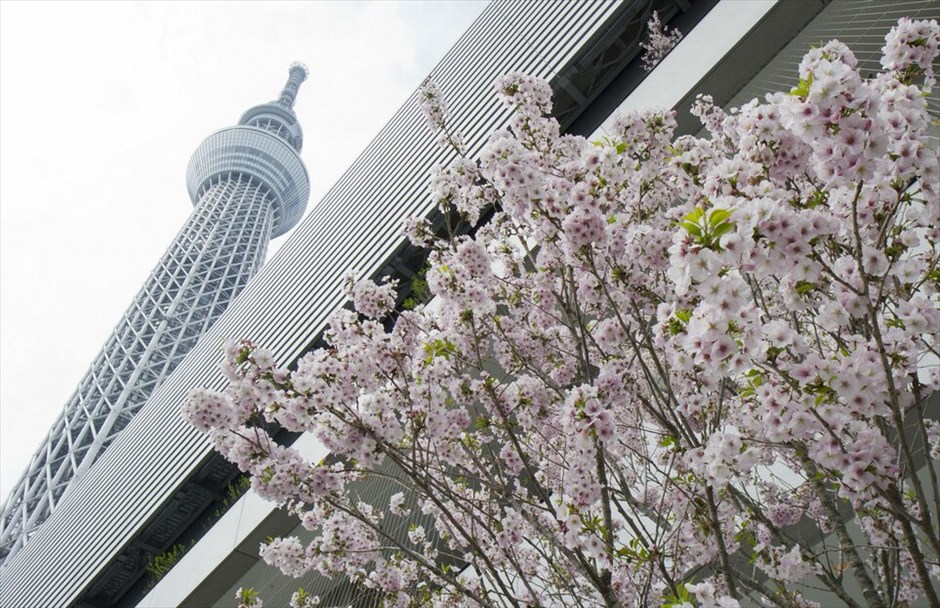 Tokyo Sky Tree: Ο υψηλότερος αυτόνομος πύργος στον κόσμο #2. O Tokyo Sky Tree είναι ο υψηλότερος αυτόνομος πύργος στον κόσμο και έχει ύψος 634 μέτρα. Αποτελεί το νέο τηλεπικοινωνιακό κέντρο του Τόκιο και θα έχει δύο παρατηρητήρια, ένα στα 350 και ένα στα 350 μέτρα αντίστοιχα. Παράλληλα, θα διαθέτει καταστήματα και εστιατόρια. Εχει κατασκευαστεί στο κέντρο της Ιαπωνικής πρωτεύουσας και είναι η δεύτερη υψηλότερη, ανθρώπινη κατασκευή στον κόσμο μετά τον ουρανοξύστη Burj Khalifa στο Ντουμπάι που υψώνεται 828 μέτρα πάνω από την επιφάνεια της γης. Τα εγκαίνια του Tokyo Sky Tree αναμένεται να γίνουν στις 22 Μαΐου.