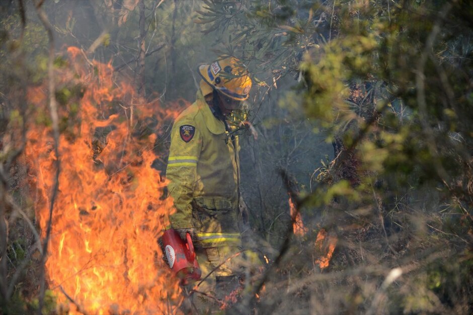 Στο έλεος των πυρκαγιών η Αυστραλία #2. Εκτός ελέγχου είναι, λόγω του καύσωνα και των ισχυρών ανέμων, οι πυρκαγιές που μαίνονται σε θαμνώδεις εκτάσεις στη Νέα Νότια Ουαλία, την πιο πυκνοκατοικημένη πολιτεία της Αυστραλίας, όπως ανακοίνωσαν οι αρχές.Σύμφωνα με τον επικεφαλής της Πυροσβεστικής Υπηρεσίας το βράδυ της Τρίτης έκαιγαν περισσότερες από 40 εστίες.Η χώρα να παραμένει σε κλοιό καύσωνα - ρεκόρ καθώς για έξι συνεχείς ημέρες η μέση θερμοκρασία σε όλη την Αυστραλία είναι πάνω από 39 βαθμούς Κελσίου, γεγονός που δυσχεραίνει την καταπολέμηση των πυρκαγιών.