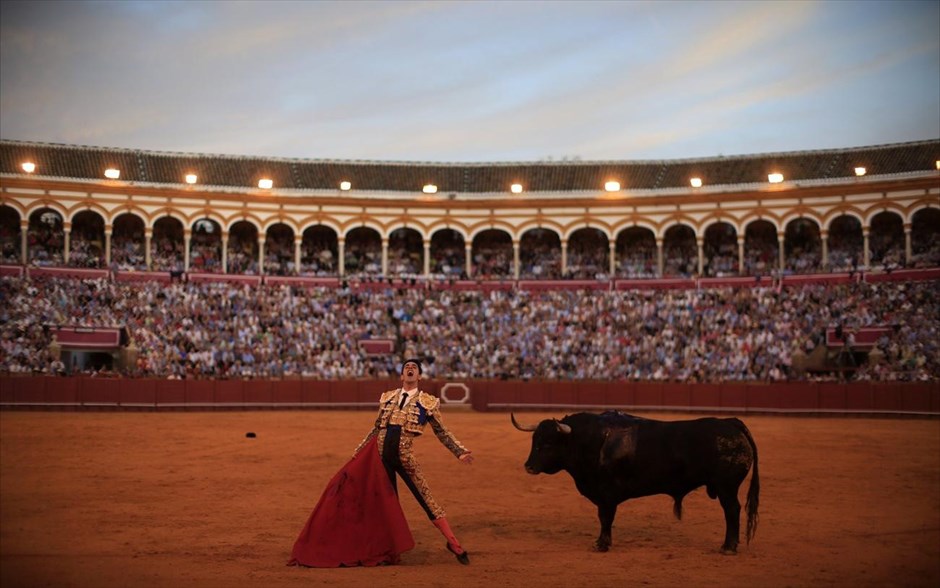 Ταυρομαχίες στη Σεβίλλη. Ο ισπανός ταυρομάχος Alejandro Talavante πανηγυρίζει δίπλα στον ταύρο στην αρένα «Maestranza», στην πρωτεύουσα της Ανδαλουσίας,  Σεβίλλη.