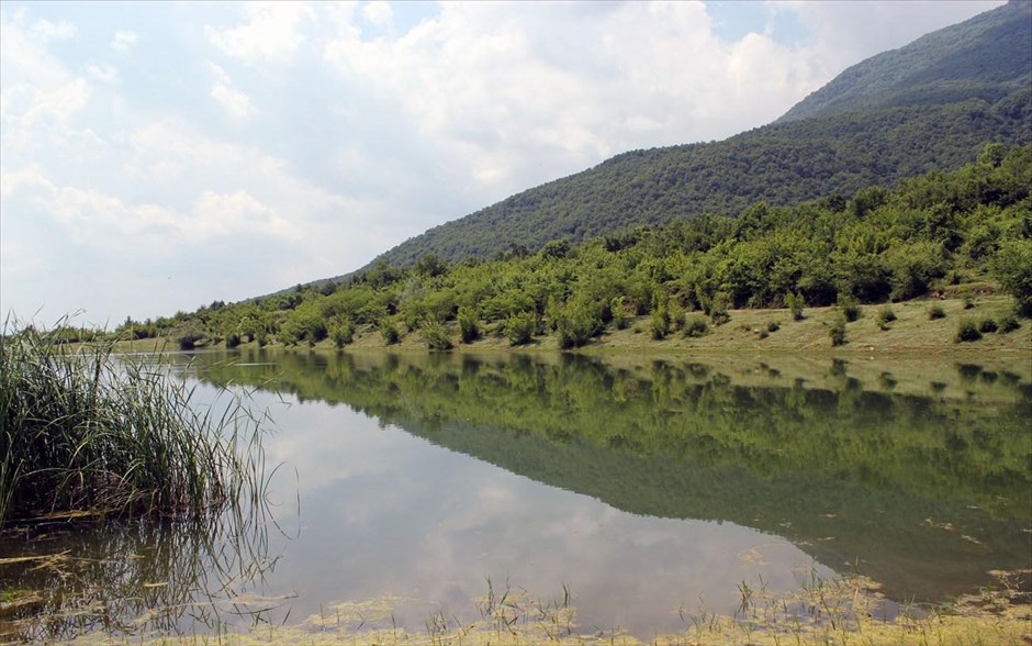 Ο υδροβιότοπος της Λίμνης Κερκίνης. Τα γύρω βουνά Κερκίνη (Μπέλες) και Μαυροβούνι (Κρούσια) καλύπτονται από δασική βλάστηση, κυρίως οξυά στα ψηλότερα μέρη, και πολλά είδη δρυός ανάμικτα με φλαμουριές, φουντουκιές, γαύρους και άλλα φυλλοβόλα αείφυλλα θαμνώδη είδη στις χαμηλότερες περιοχές.