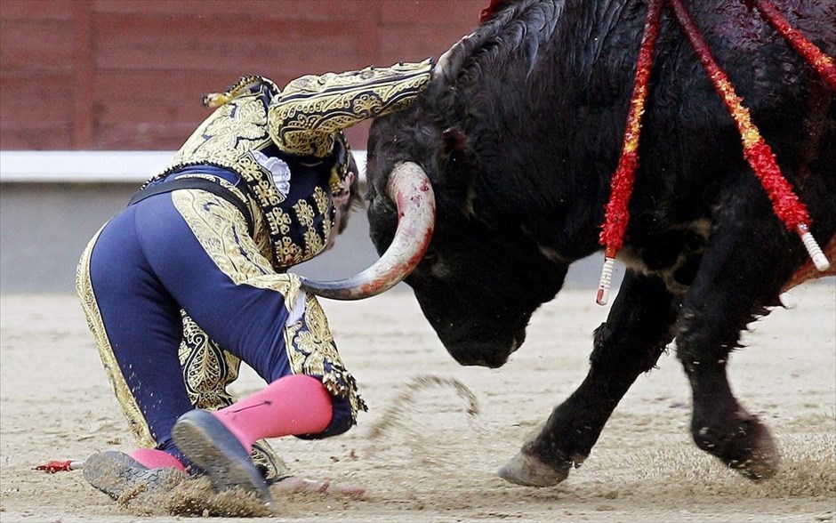 Ταυρομαχίες στη Μαδρίτη. Ο πληγωμένος ταύρος ρίχνει στο χώμα τον ισπανό ταυρομάχο Χουάν Χοσέ Παντίγια, χωρίς ευτυχώς να τον τραυματίσει σοβαρά, σε ταυρομαχία που διεξήχθη στην αρένα Λας Βέντας, στη Μαδρίτη.