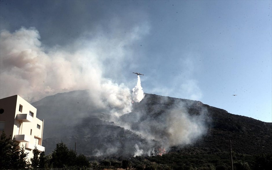 Πυρκαγιά στο Μαρκόπουλο. Η πυρκαγιά μαίνεται ανάμεσα σε οικισμούς, απειλώντας κατοικίες.