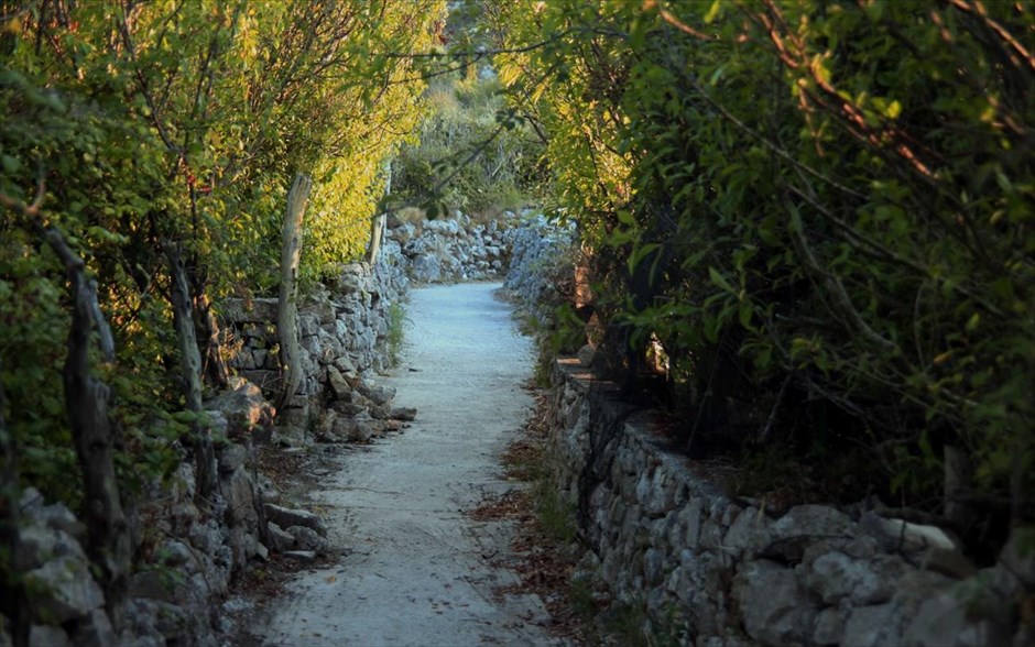 Στιγμές από μία άκρη της Ελλάδας. Οθωνοί, το δυτικότερο άκρο της Ελλάδας ένας μικρός παράδεισος με διάσπαρτους οικισμούς, λίγα ενοικιαζόμενα, δυο-τρεις ταβέρνες γύρω από το λιμάνι, ερείπια βενετσιάνικων κάστρων και αίσθηση απόλυτης γαλήνης. Οι Οθωνοί είναι το μεγαλύτερο από τα Διαπόντια Νησιά. Η έκτασή τους είναι 10,8 τετρ. χιλιόμετρα, έχουν πλάτος περίπου 3,6 χιλιόμετρα, μήκος γύρω στα 5,6 και περίμετρο ακτών 30 χιλιόμετρα. Ενας τόπος ιδανικός για ήσυχες διακοπές, βόλτες, ψάρεμα και θαλάσσια σπορ. Oι περισσότεροι των κατοίκων είναι ξενιτεμένοι σε Aμερική και Aυστραλία, αλλά κάθε χρόνο σχεδόν επιστρέφουν στις προγονικές τους εστίες. Πολλοί χτίζουν σπίτια ή ανασκευάζουν τα πατρογονικά τους, κι ούτε ένα οίκημα δεν είναι ακαλαίσθητο. Τα τοπωνυμία του νησιού και οι παραδόσεις, το ταυτίζουν με το βασίλειο του Αλκίνοου και το μέρος όπου η Ναυσικά συνάντησε τον Οδυσσέα για να τον βοηθήσει στην επιστροφή του στην Ιθάκη.