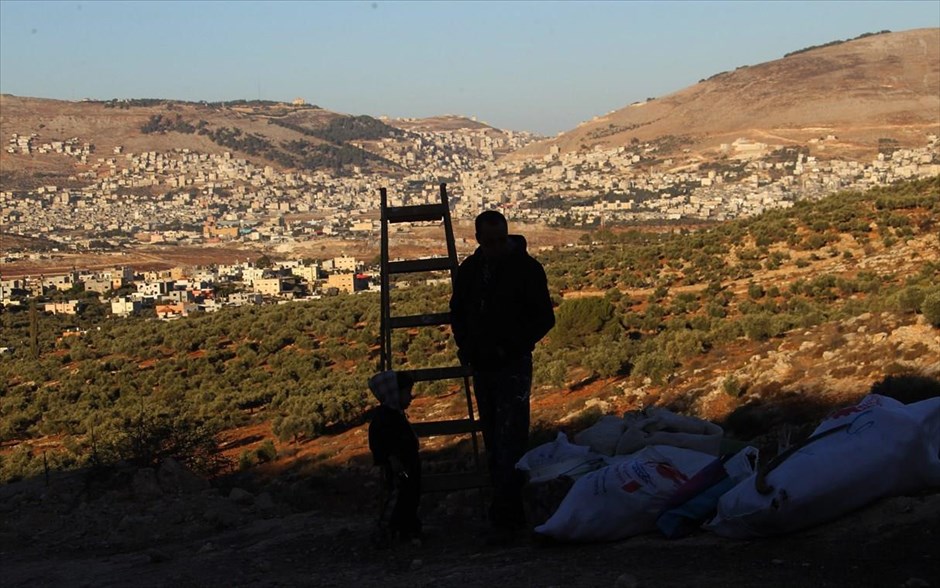 Συγκομιδή ελιάς στη Δυτική Όχθη. Ένας παλαιστίνιος αγρότης στέκεται δίπλα στο γιο του προτού ξεκινήσει την εργασία του σε ελαιώνα του χωριού Σάλεμ της Δυτικής Όχθης. Μερικοί από τους παλαιότερους ελαιώνες στον κόσμο βρίσκονται στη Δυτική Όχθη, με ορισμένους να βρίσκονται στην περιοχή από 1.500 έως 2.000 χρόνια.