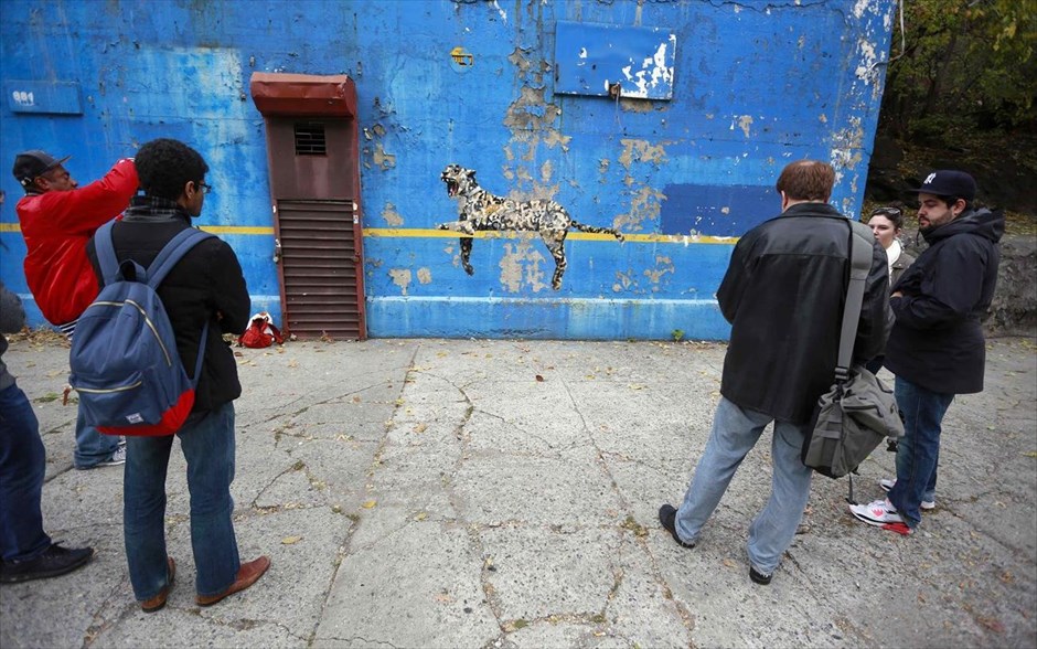 O Banksy κατακτά τη Νέα Υόρκη #34. Κόσμος κοιτά το έργο του βρετανού καλλιτέχνη Banksy, με τίτλο «Bronx Zoo (at Yankee Stadium)», σε ένα τοίχο έξω από το στάδιο των Γιάνκις, στο Μπρονξ, 31 Οκτωβρίου 2013.