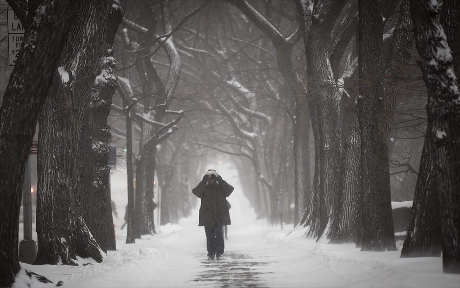 Νέα Υόρκη - ΗΠΑ - χιόνι . Το Σέντραλ Παρκ της Νέας Υόρκης.