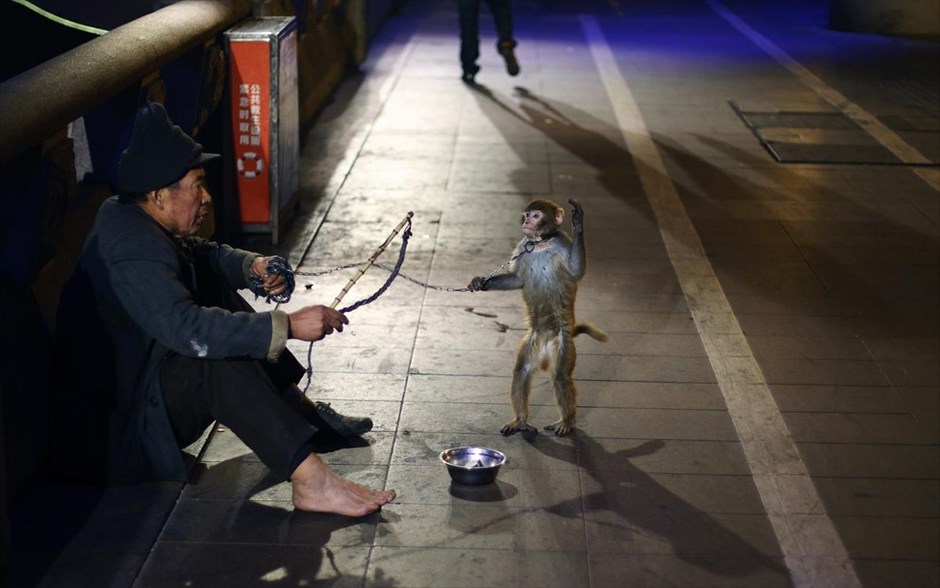 Επετεία με αλυσίδες στους δρόμους της Κίνας. Επαίτης κρατώντας μία αλυσοδεμένη μαϊμού, κάθεται στο δρόμο, κάτω από τη γέφυρα στον ποταμό Περλ, στο Γκουανγκντόνγκ.