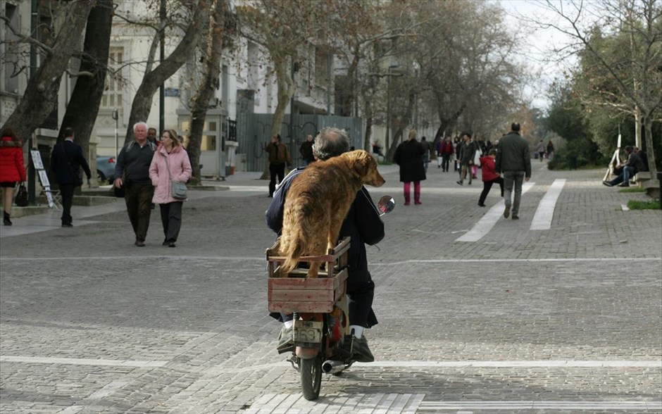 Βόλτα στο κέντρο της Αθήνας. Ένας άνδρας μεταφέρει το σκύλο του πάνω σε δίκυκλο στον πεζόδρομο της Διονυσίου Αρεοπαγίτου στο κέντρο της Αθήνας.