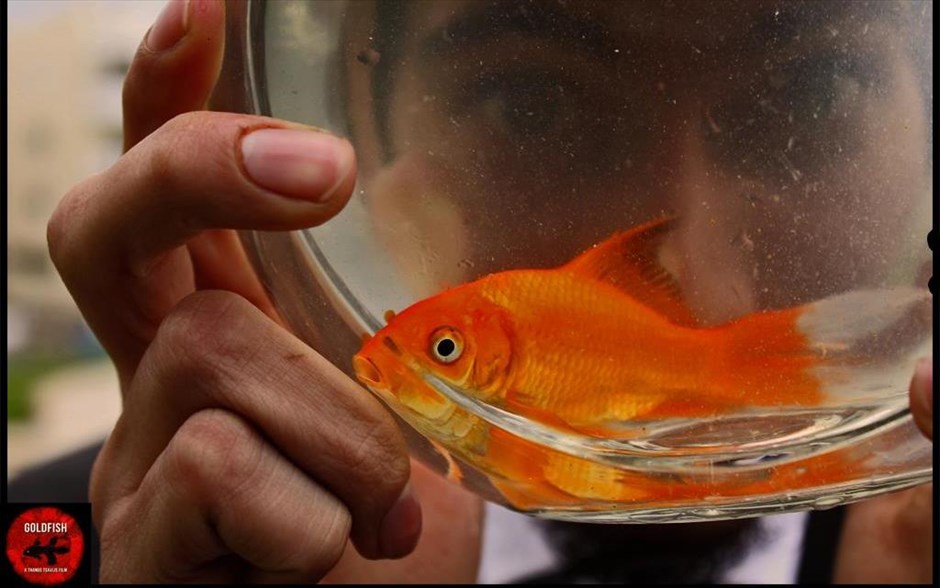 Goldfish. Η ανεξάρτητη μαύρη κωμωδία δράσης, «Goldfish», μας μεταφέρει στο κοντινό μας μέλλον, όπου οι δρόμοι τεσσάρων ανθρώπων διασταυρώνονται με απροσδόκητες εξελίξεις.