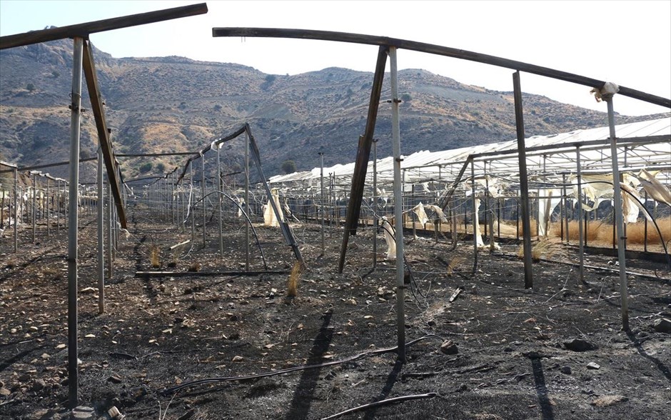 Πυρκαγιά στο Αντισκάρι Ηρακλείου. Καμένο θερμοκήπιο που άφησε πίσω της η φωτιά που ξέσπασε χθες στο Αντισκάρι Ηρακλείου.