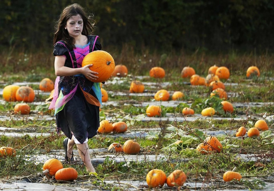 Halloween . Ένα μικρό κορίτσι κρατά την κολοκύθα που διάλεξε στην φάρμα Tulleys, κατά τη διάρκεια του φεστιβάλ για το Halloween, κοντά στο Κρόλεϊ, στη νότια Αγγλία.
