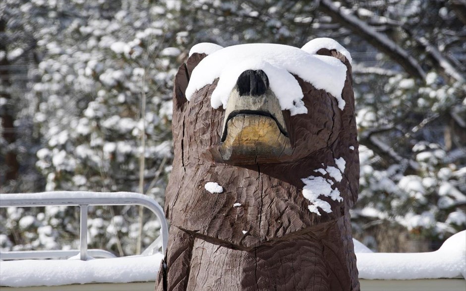 Κακοκαιρία - ΗΠΑ. Διακοσμητική αρκούδα καλυμμένη με χιόνι στο Κολοράντο.