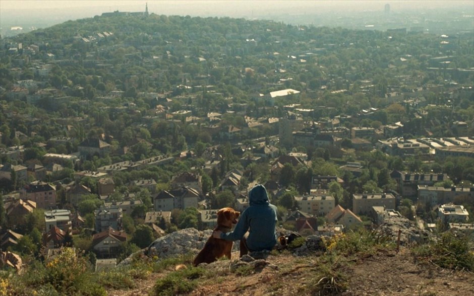 «Λευκός θεός». Εξόριστος και προδομένος, «ο καλύτερος φίλος του ανθρώπου» επαναστατεί απέναντι στα πρώην «αφεντικά» του, στο δράμα του Κορνέλ Μουντρούκτσο, «Λευκός θεός».