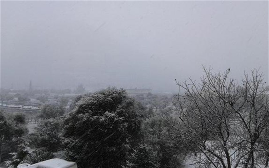 Χιόνι - Αναγνώστες. Φωτογραφία που μας έστειλε, μέσω Twitter, από τη Νεμέα ο @asarantidis_.