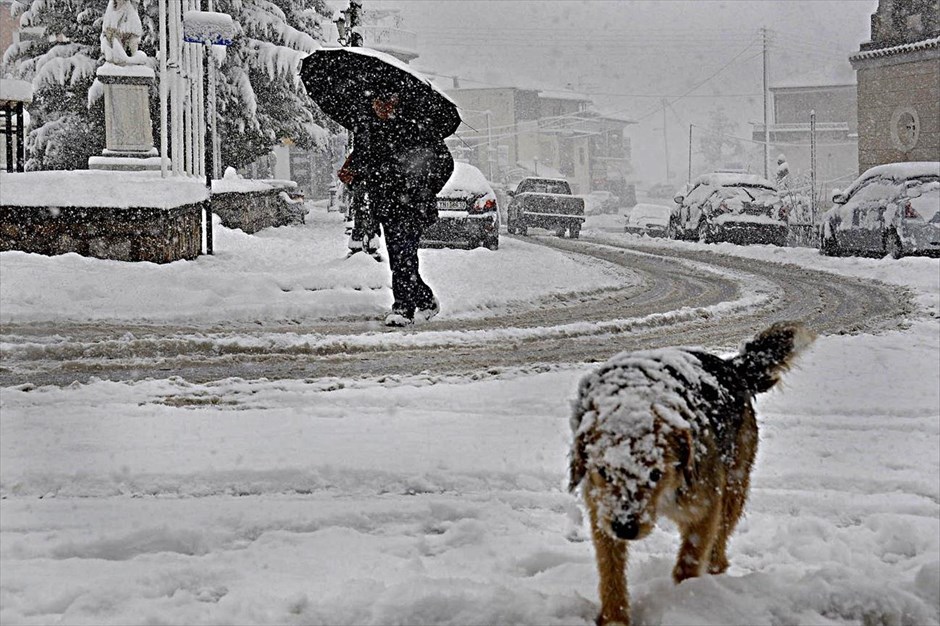 Καιρός - Χιόνι - Κρύο - Αρκαδία. Λεβίδι Αρκαδίας.