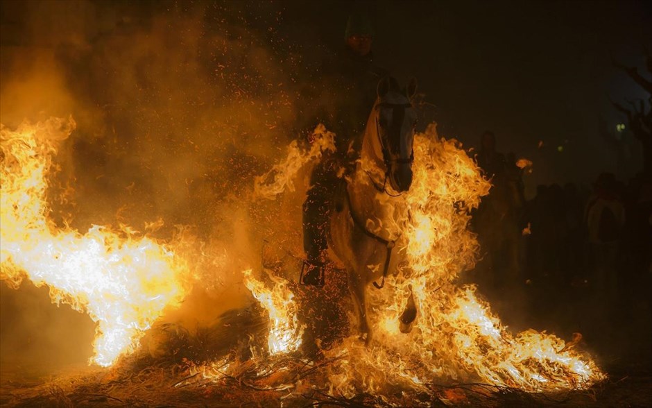 Εκδηλώσεις για τη γιορτή του Αγίου Αντωνίου στην Ισπανία. Ένας ιππέας περνά με το άλογό του μέσα από τη φωτιά, κατά τη διάρκεια εορτασμών προς τιμήν του Αγίου Αντωνίου, στο χωριό San Bartolome de los Pinares, στην Ισπανία.