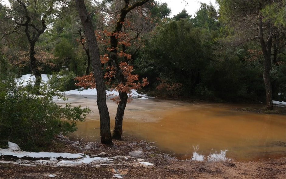 Χιόνι στην Πάρνηθα. Στιγμιότυπο από την Πάρνηθα την Κυριακή 18 Ιανουαρίου 2015.