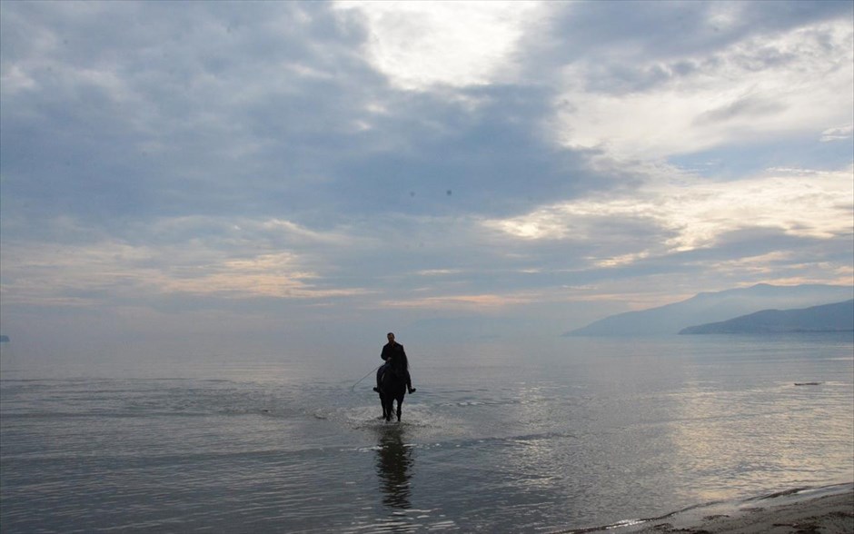 Βόλτα με άλογο στο Ναύπλιο. Στη φωτογραφία που δόθηκε στη δημοσιότητα τη Δευτέρα, απεικονίζεται ένας αναβάτης με το άλογό του στην παραλιακή της πόλης του Ναυπλίου. Μέλη του Ιππικού συλλόγου Άργους, με τα άλογα τους, πρόσφεραν την Κυριακή μία βόλτα σε όσους ήθελαν στην παραλιακή Ναυπλίου - Νέας Κίου. Σκοπός της δραστηριότητας αυτής ήταν η γνωριμία με το άλογο.
