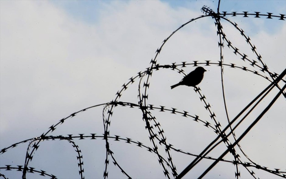 Μια φωτογραφία αντίθεσης. Ένα σπουργίτι στέκεται στο σύρμα της περιμέτρου των φυλακών του Κορυδαλλού.