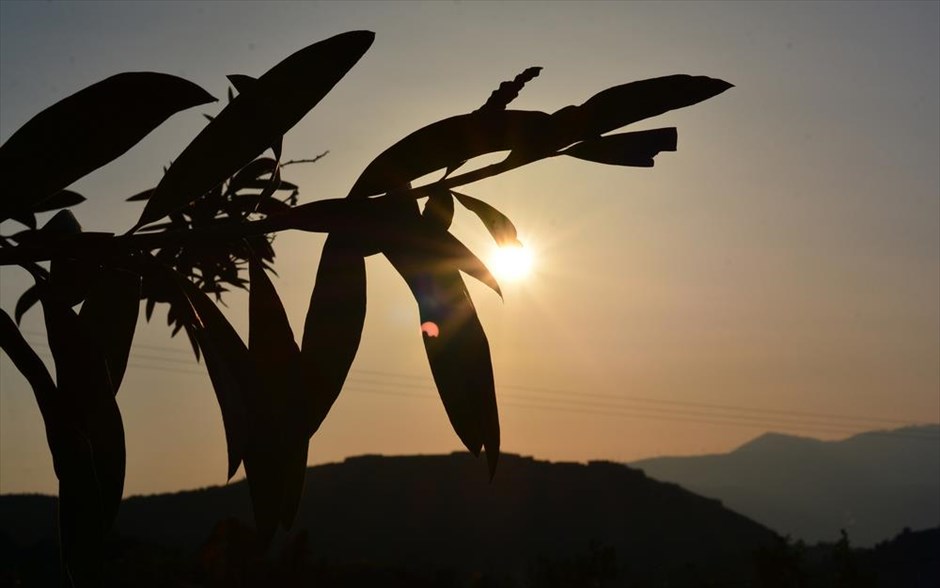Δύση του ηλίου στο Ναύπλιο. Ο ήλιος δύει πίσω από φύλλα δένδρου στην πόλη του Ναυπλίου.