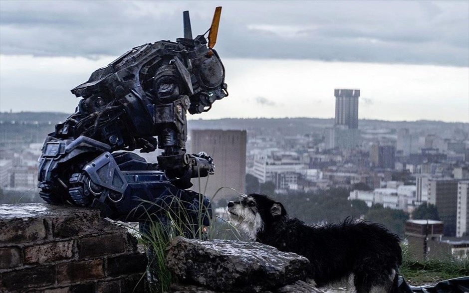 Οι ταινίες της εβδομάδας - Chappie. «Chappie»: &nbsp;Ο Νοτιοαφρικανός σκηνοθέτης Νιλ Μπλόμκαμπ εμπνέεται από τη μικρού μήκους ταινία του, «Tetra vaal», και δημιουργεί μια τρυφερή περιπέτεια επιστημονικής φαντασίας, με τη - βραβευμένη με Όσκαρ - Σιγκούρνι Γουίβερ και τους Χιου Τζάκμαν, Σάρλτο Κόπλεϊ, Ντεβ Πατέλ, και τη μουσική επένδυση του - επίσης βραβευμένου με Όσκαρ - Χανς Ζίμερ.