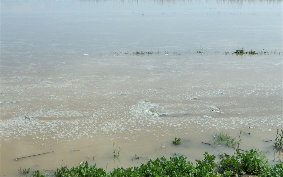 Αχινός Σερρών - Πλημμύρα - Ποτάμι. 