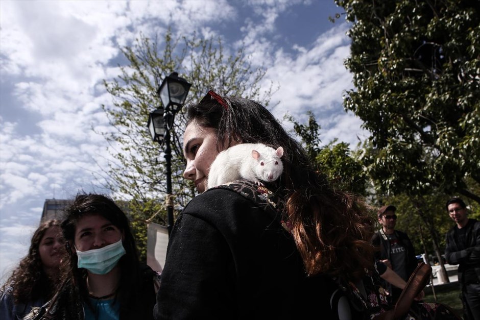 Διαμαρτυρία κατά των πειραμάτων σε ζώα. Στιγμιότυπο από διαμαρτυρία στην Πλατεία Συντάγματος κατά της χρήσης ζώων σε εργαστηριακά πειράματα.