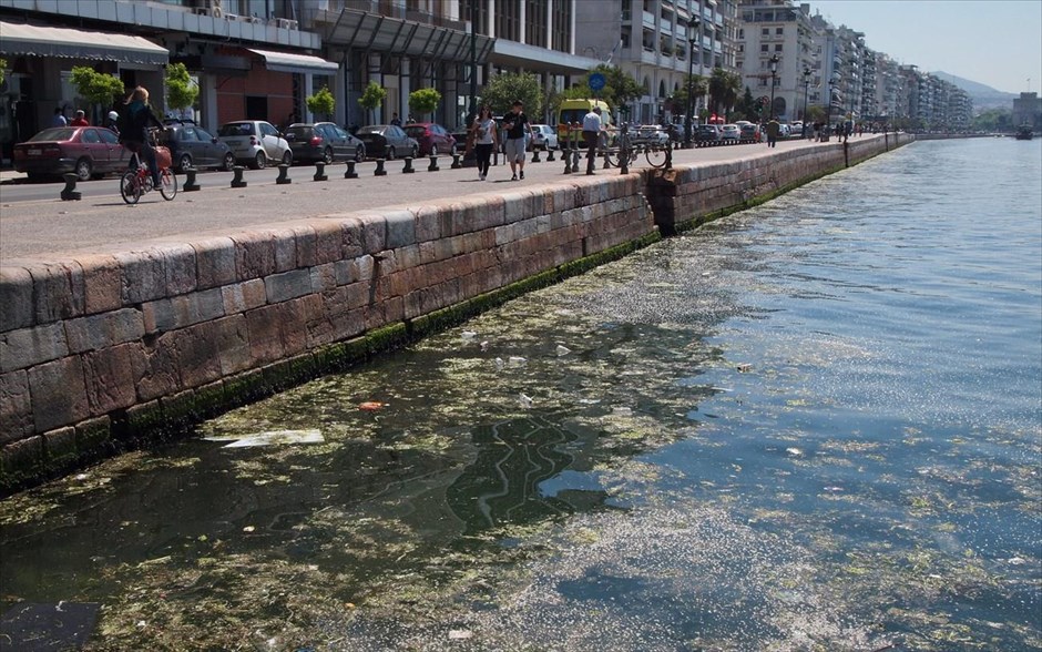 Μόλυνση στον Θερμαϊκό Κόλπο . Στιγμιότυπο από τον Θερμαϊκό Κόλπο.