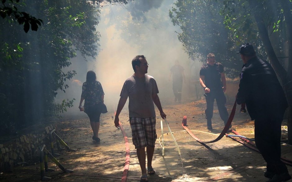 Πυρκαγιά στη Ρεματιά Χαλανδρίου. 
