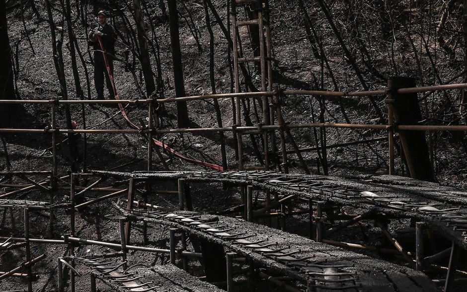 Πυρκαγιά στη Ρεματιά Χαλανδρίου. 
