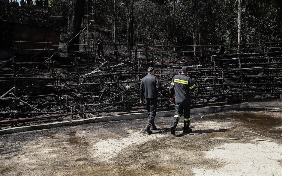 Πυρκαγιά στη Ρεματιά Χαλανδρίου. 
