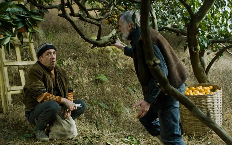  «Μανταρίνια». «Μανταρίνια»: Ένας καλλιεργητή μανταρινιών μέσα στον πόλεμο της Αμπχαζίας του 1992, περιθάλπει δύο βαριά τραυματισμένους από αντίπαλα στρατόπεδα: έναν Τσετσένο κι έναν Γεωργιανό. Η γενναιόδωρη αυτή φιλοξενία θα τους κάνει να καταλάβουν ότι περισσότερα πράγματα τους ενώνουν, παρά τους χωρίζουν.