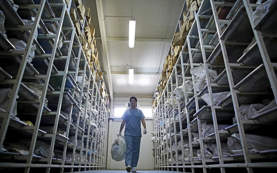 Σρεμπρένιτσα. Η Ιατροδικαστής - Ανθρωπολόγος Dragana Vucetic περπατά ανάμεσα στα απομεινάρια θυμάτων από τη σφαγή της Σρεμπένιτσας τα οποία ακόμα δεν έχουν αναγνωριστεί.