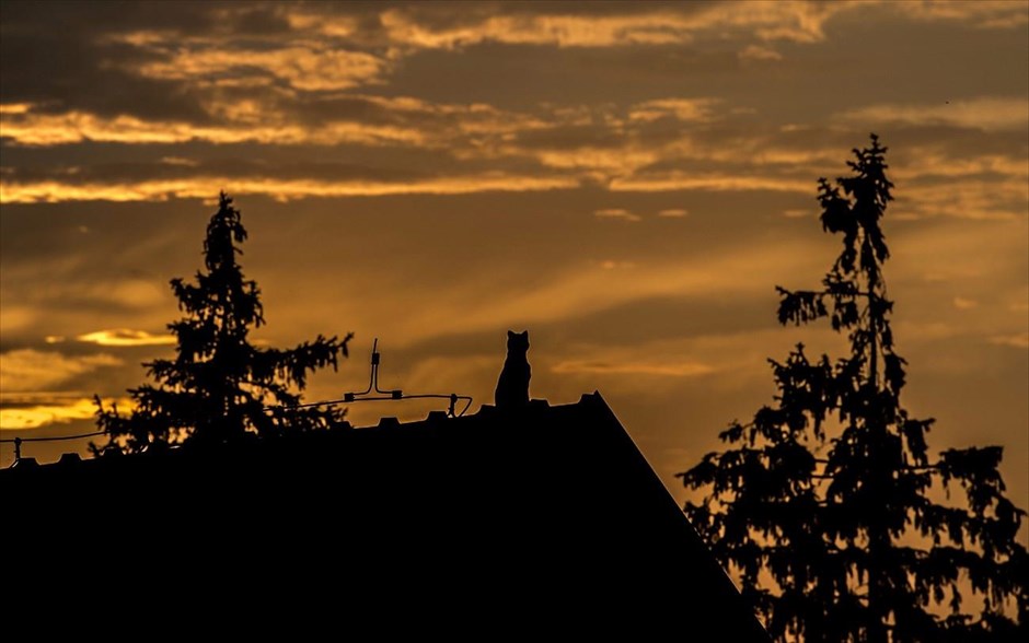 Ηλιοβασίλεμα στην Τσεχία. Διακοσμητική γάτα διακρίνεται στην οροφή ενός σπιτιού, με φόντο τον απογευματινό ουρανό, σε χωριό της Ανατολικής Βοημίας, στην Τσεχία. 