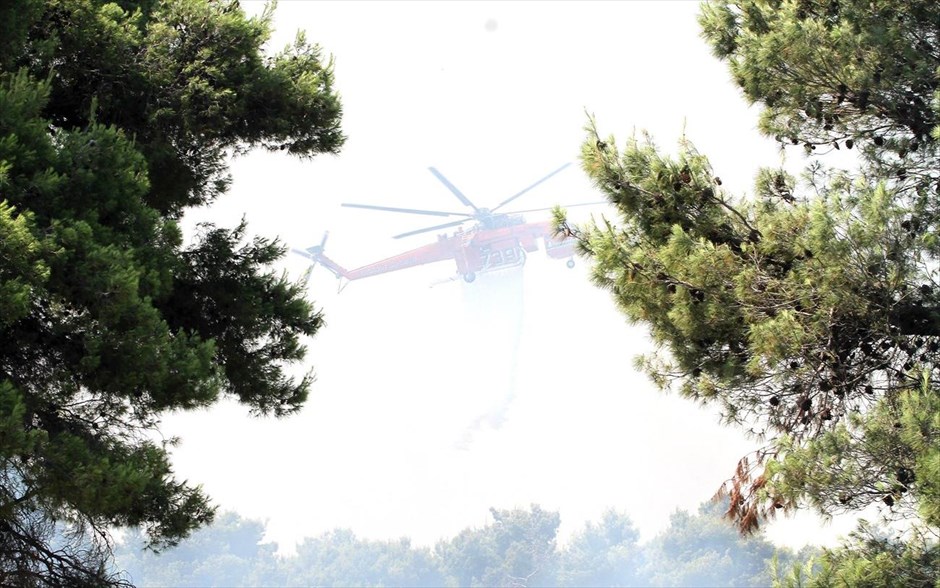 Φωτιά στην Σταμάτα Αττικής . 