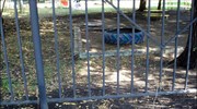 Ρωσία: Έσκαψαν πέρασμα για να το σκάσουν από το σχολείο και να... αγοράσουν μια Τζάγκουαρ