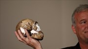 Homo naledi: Στο φως νέος συγγενής του προγόνου του ανθρώπου