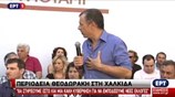 Απόσπασμα από την ομιλία του Σταύρου Θεοδωράκη στη Χαλκίδα