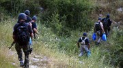 Εκατοντάδες χιλιάδες δενδρύλια χασίς έχει καταστρέψει η αλβανική αστυνομία μέσα στο 2015