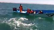 Στιγμιότυπα από τον θαλάσσιο κόσμο