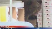 Αρκουδάκι βρήκε καταφύγιο στην κουζίνα μίας πιτσαρίας