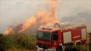 Υπό μερικό έλεγχο η πυρκαγιά στη Σαλαμίνα