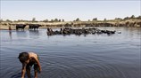 Μέτρα για την αποφυγή επιδημίας χολέρας στο Ιράκ