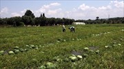 Σε στάση αναμονής αγρότες - κτηνοτρόφοι