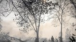 Σύννεφο καπνού από τις δασικές πυρκαγιές καλύπτει την Ινδονησία
