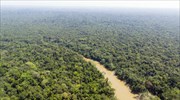 Βραζιλία: Η αποψίλωση του τροπικού δάσους του Αμαζονίου έχει μειωθεί κατά 85% τα τελευταία 10 χρόνια
