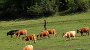 Συμμετοχή των κτηνοτρόφων Θεσσαλίας στο συλλαλητήριο της 10ης Νοεμβρίου