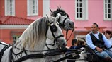 Άργος: 13η Ιππική συνάντηση «Διομήδεια 2015»